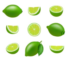 Lime. Realistic fresh sliced fruits with leaves decent vector limes collection