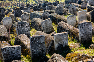 Tombstones at the medieval Jewish cemetery in Republic of Moldova. One of the biggest jewish...