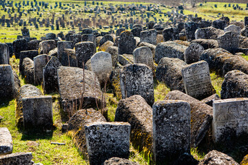 Tombstones at the medieval Jewish cemetery in Republic of Moldova. One of the biggest jewish...