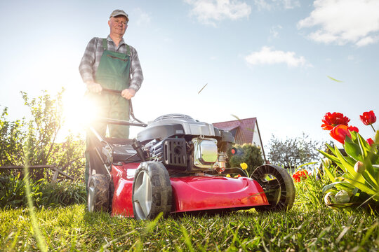 Man with a lawn mower in a sunny garden	