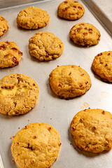 primer plano de galletas con chispas de chocolate sobre bandeja de metal