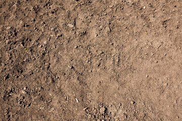 Dry soil surface closeup. Garden work concept