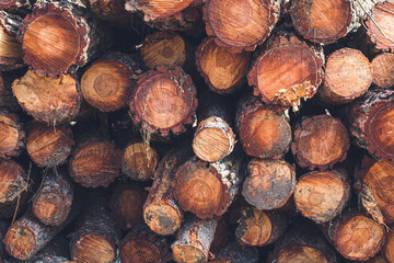 pile of wood logs from felled and stacked trees