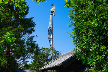 青空にはためく武者絵のぼり 端午の節句　（世田谷区立次大夫堀公園）