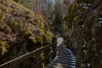  Kehlengrabenschlucht in Hofstetten in der Nähe von Basel
