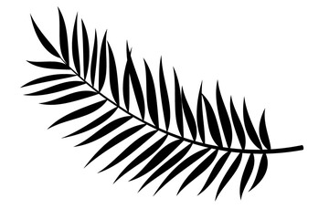 Palm Leaf Vector Background Illustration. Realistic palm tree leaf silhouette. Black shadow shape isolated on white background. Vector Illustration EPS10