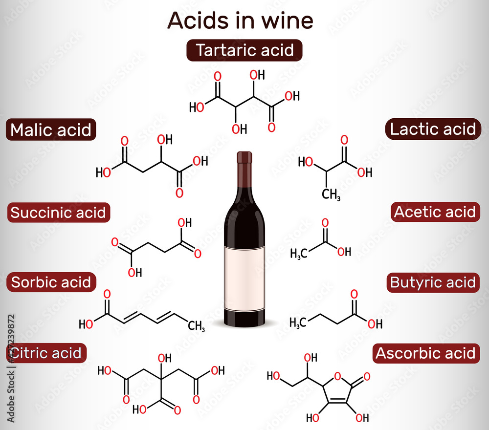 Canvas Prints Acids in wine. Tartaric, malic, lactic, citric, acetic, ascorbic, butyric, sorbic, succinic acid. Skeletal chemical formulas