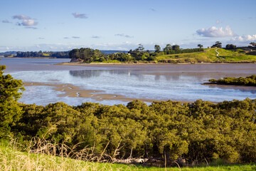 Tidal river landscape in the North Island of New Zealand