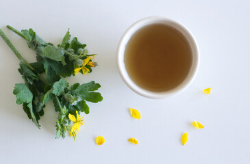 Natural home skin care.Celandine juice and green tea infusion on a white background. Free space.
