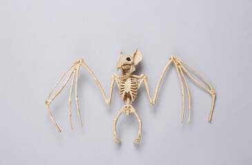 Creepy bat skeleton on a gray background. Halloween decor