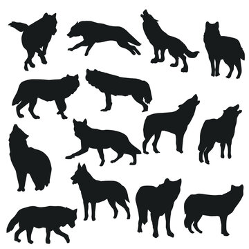Wolf Illustration Clip Art Design Collection Silhouettes Animal Forest Icons.
