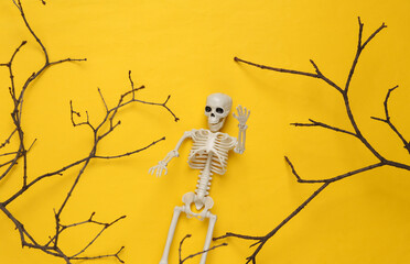 Creative Halloween layout. Tree branch, skeleton on yellow background. Flat lay