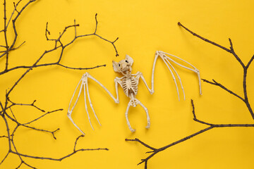 Creative Halloween layout. Tree branch and bat skeleton on yellow background. Flat lay