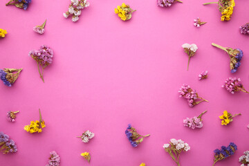 Fototapeta na wymiar Flowers composition. Gypsophila flowers on pink background. Spring, summer concept. Flat lay, top view.