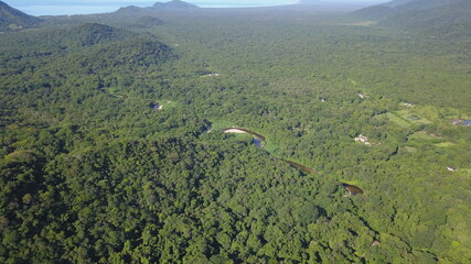 Mata Atl&acirc;ntica