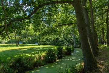 Landscape garden and Lütetsburg Castle Park in Lütetsburg