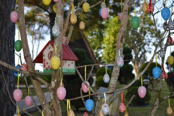 eggs hanging on a tree