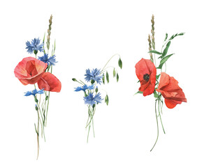 Watercolor hand drawn bouquet of poppies, cornflowers and herbs.