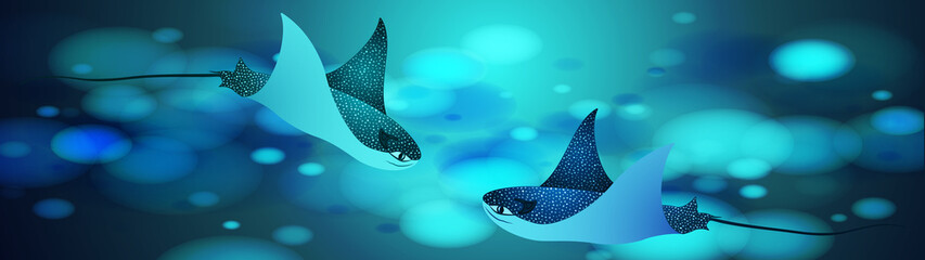 Manta ray fishes, marine animals, sea creatures vector illustration. © SunwArt