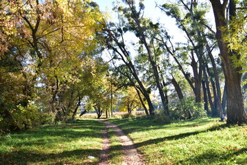 Place for walking, jogging. The park