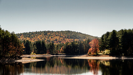 Obraz premium Autumn at the small lake 