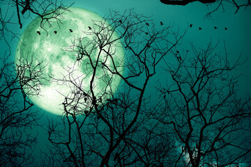 Fototapeta na wymiar super sturgeon green moon and silhouette birds in the night sky