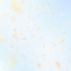 Yellow orange flower petals falling down. Imaginat