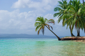 Palm trees on a tropical beach with crystal clear water to relax