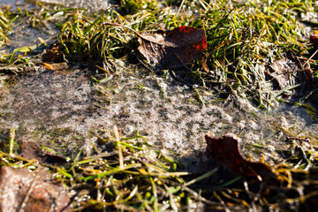 Environmental pollution with waste and dirty soapy liquids. Fuel in the center of the contaminated area. Soil pollution. The concept of man-made revolution and destruction of the Earth