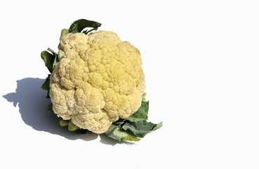 Organic Cauliflower Isolated on White Background with Copy Space in Horizontal Orientation