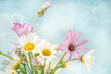 bunch of spring flowers over blue background with copy space