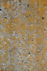 Gray concrete surface texture as background. Copy, empty space for text