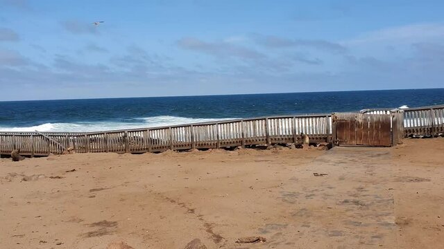 Cape Cross Seal Reserve in the South Atlantic in the Skeleton Coast, Namib desert, western Namibia. Home to one of the largest colonies of Cape fur seals in the world.