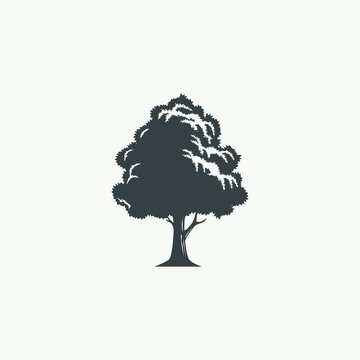 a unique tree vector inspired by a tree that I met in nature.