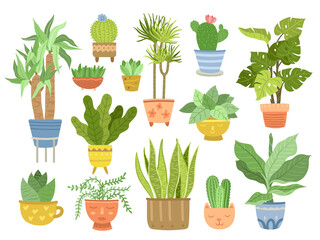 Flat house plant. Home plants, flat gardening indoor elements. Bamboo in pot, interior succulents in cute containers exact vector collection