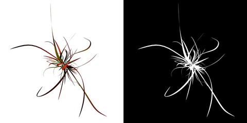 Top view of Plant (Tufted Grass Deschampsia cespitosa 1) Tree png with alpha channel to cutout made...