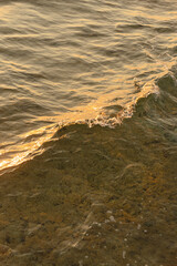 Texture of small waves on the sea on a sunny morning. Tranquil meditative nature scene