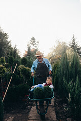 grandfather and his grandson in tree nursery