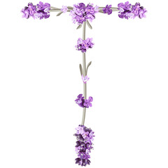 vector image of the capital letter T of the English alphabet in the form of lavender