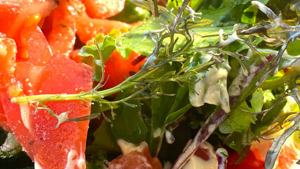 トマトとベビーリーフ。生野菜のサラダクローズアップ