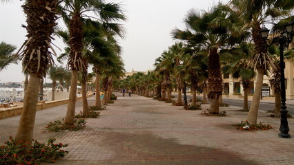 Fototapeta premium Palm trees on the street. People walking on the beach. Walk in the desert on a cloudy day. Woman and man riding a bike on the road. Scenic dark background with seafront.