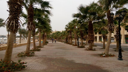 Palm trees on the street. People walking on the beach. Walk in the desert on a cloudy day. Woman and man riding a bike on the road. Scenic dark background with seafront.