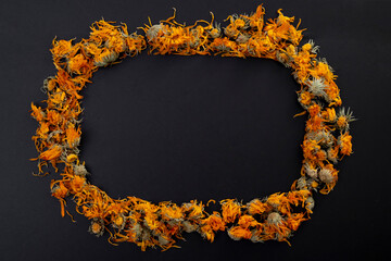 Dried marigold (calendula oficinalis) plants, frame isolated on black