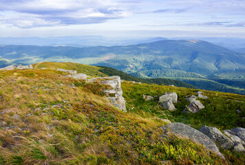 landscape of carpathian mountains. stones on the hill. view in to the distant valley. clouds on the sky in morning light. wonderful travel destination