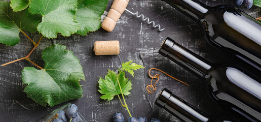 Red Wine composition on black stone chalk board table. Top view. Red wine bottles grapes, grape bunches leaves and vines corkscrew corks wine on dark rustic concrete background. Long web banner.