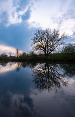 Ruhr Fluss Winter Schnee Zwielicht Idyll Bäume Frost Spiegelung Abend Dämmerung Sonne Äste Schwerte Iserlohn Wellenbad Brücke Sauerland Deutschand Böschung Panorama Natur Farbverlauf Mond blaue stunde
