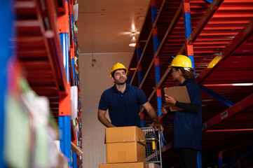 worker person working in warehouse, logistic transportation shipping industry storage, box , pallet shelf, business distribution job working in store, storehouse and good stock factory concept