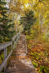 Fototapeta na wymiar Wood stairway on hiking trail at Tettegouche State Park along the shores of Lake Superior