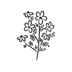 Ink, pencil, the leaves and flowers of Magnolia isolated. Line art transparent background. Hand drawn nature painting. Freehand sketching illustration.