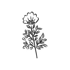 Ink, pencil, the leaves and flowers of Magnolia isolated. Line art transparent background. Hand drawn nature painting. Freehand sketching illustration.